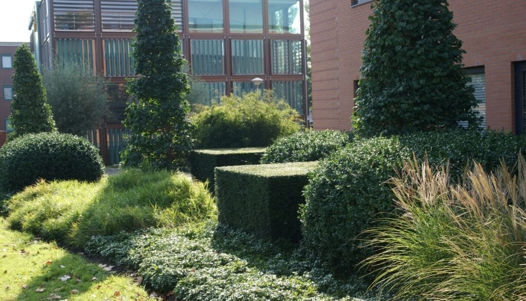 Hoveniersbedrijf De Jager in Hoeksche Waard