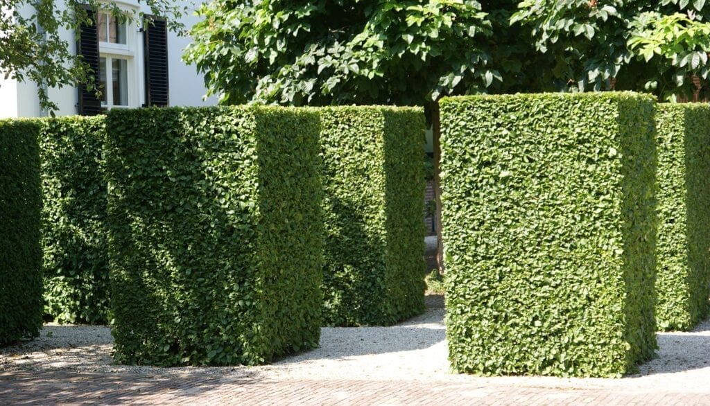 Hoveniersbedrijf De Jager in Hoeksche Waard