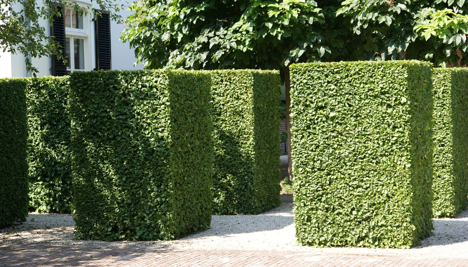 Hoveniersbedrijf De Jager in Hoeksche Waard