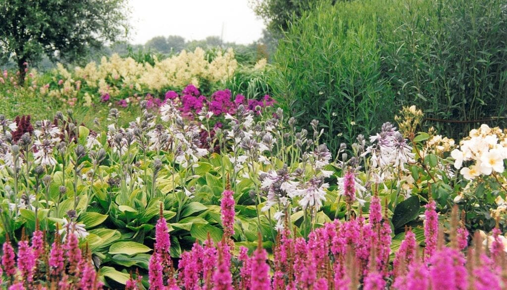 Hoveniersbedrijf De Jager in Hoeksche Waard