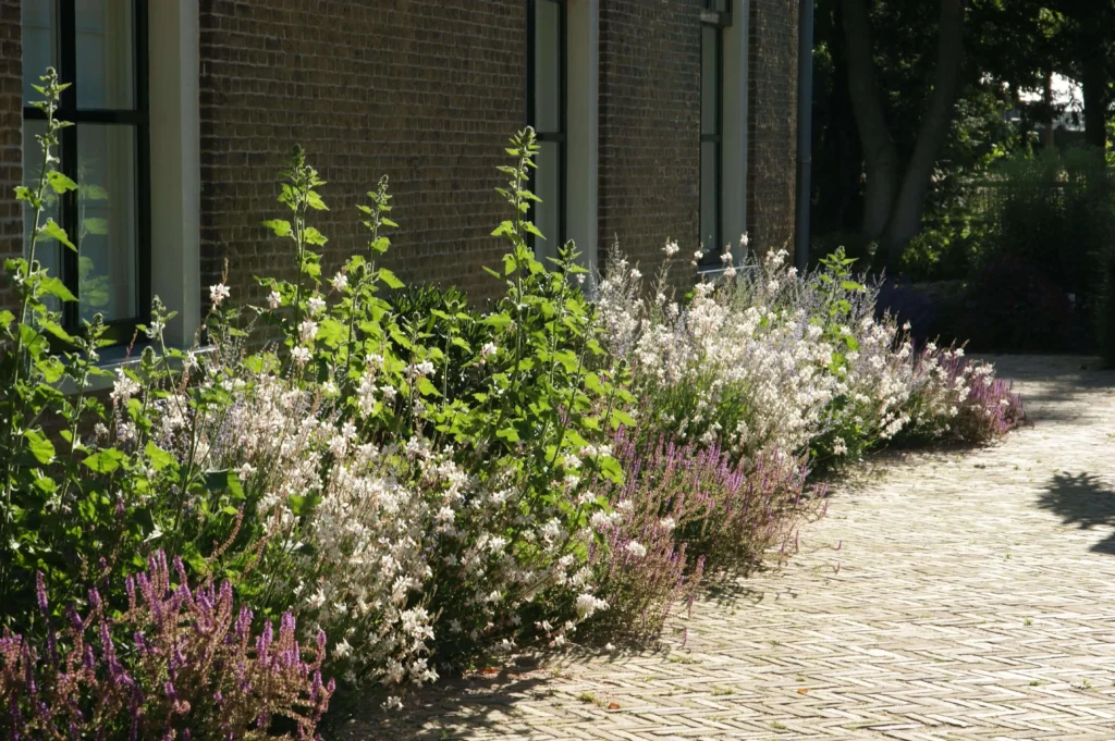 beplantingsplan-maken-kosten