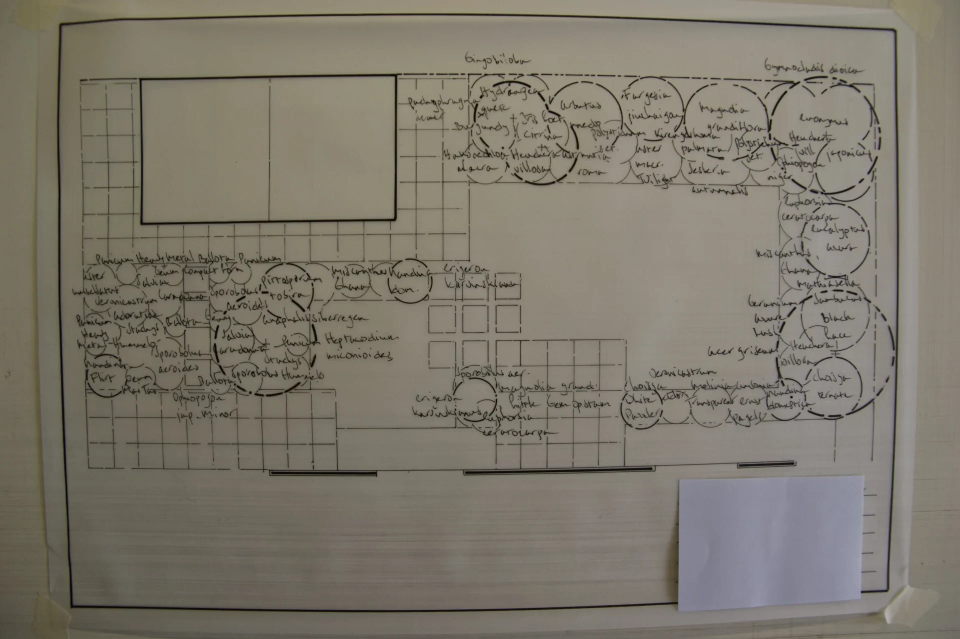hovenier-tuinontwerp