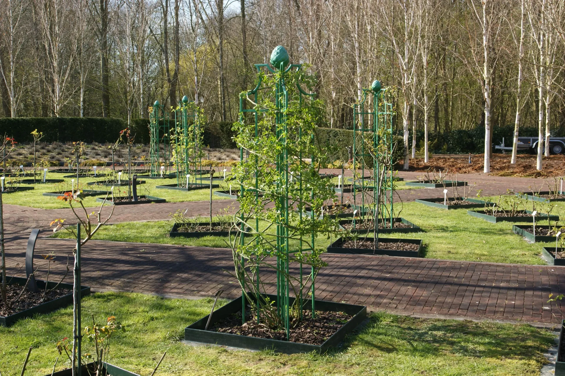 tuin-onderhoud-bedrijf