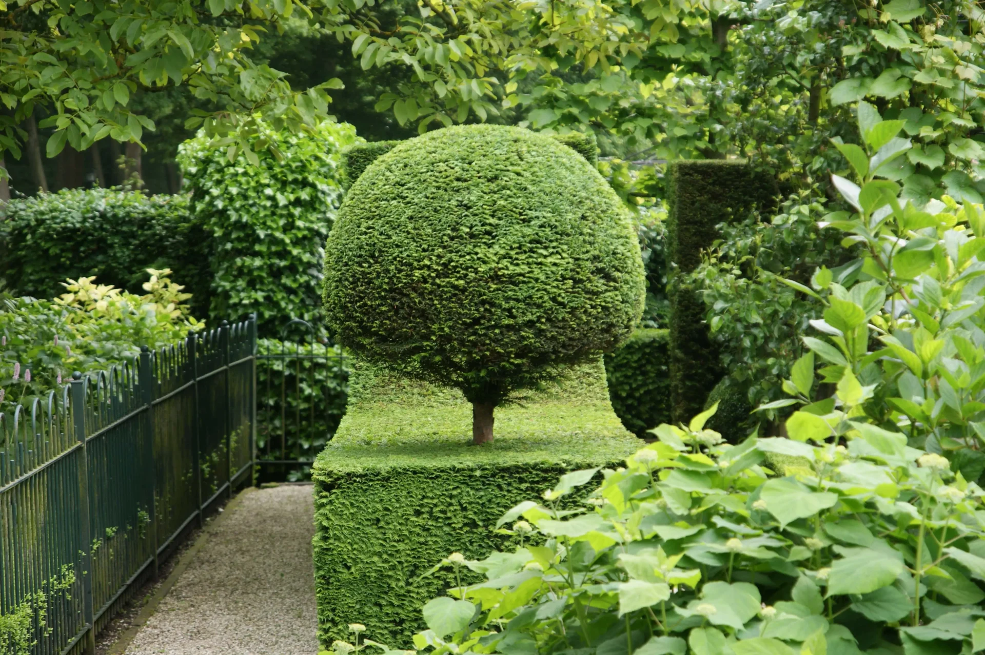 hovenier-tuin-onderhoud