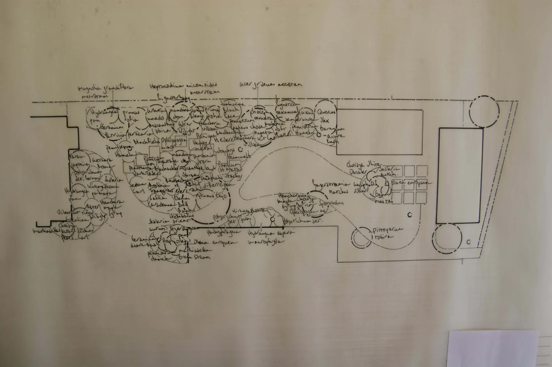 overzicht-beplanting-tuin