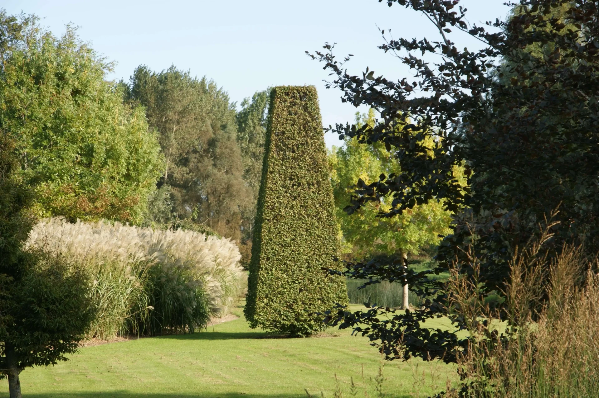 taken-van-een-hovenier